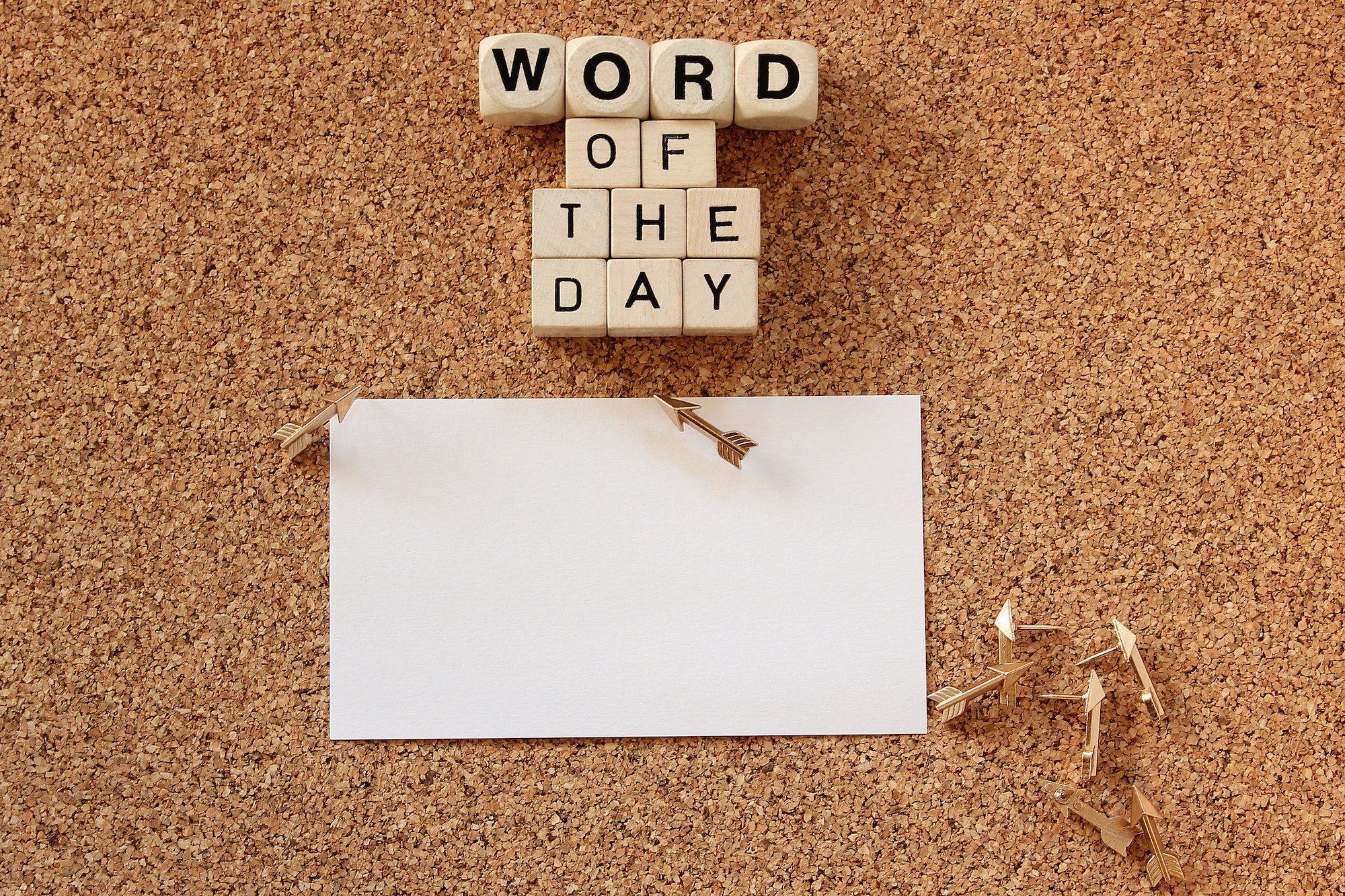 Word of the day concept